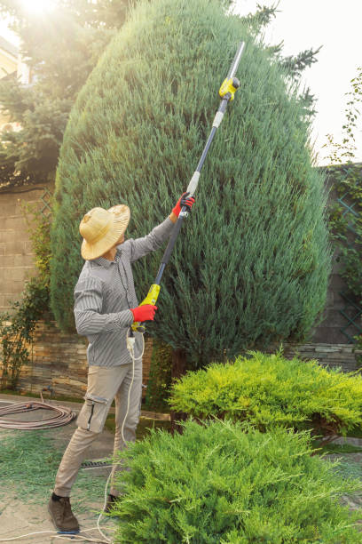 Best Lawn Mowing  in Hillsborough, CA